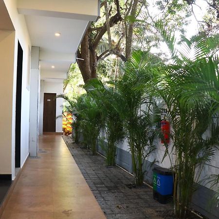 La Vera Boutique Hotel, Mandrem Ngoại thất bức ảnh